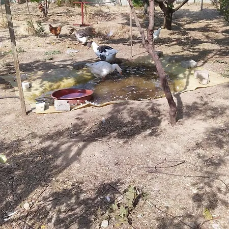 アパート Plenty Of Amenities, Affordable Price *