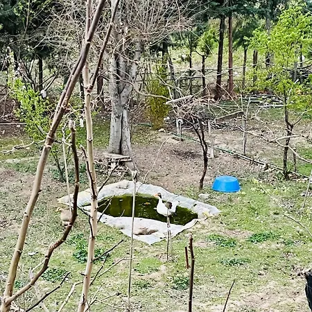 Plenty Of Amenities, Affordable Price アパート *