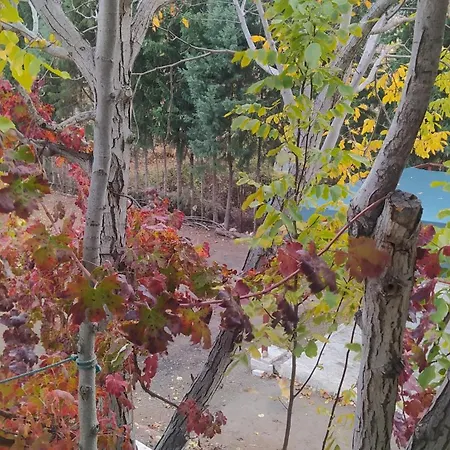 Plenty Of Amenities, Affordable Price 代尼兹利