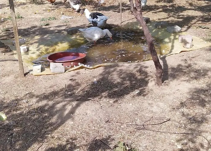 Lejlighed Plenty Of Amenities, Affordable Price *