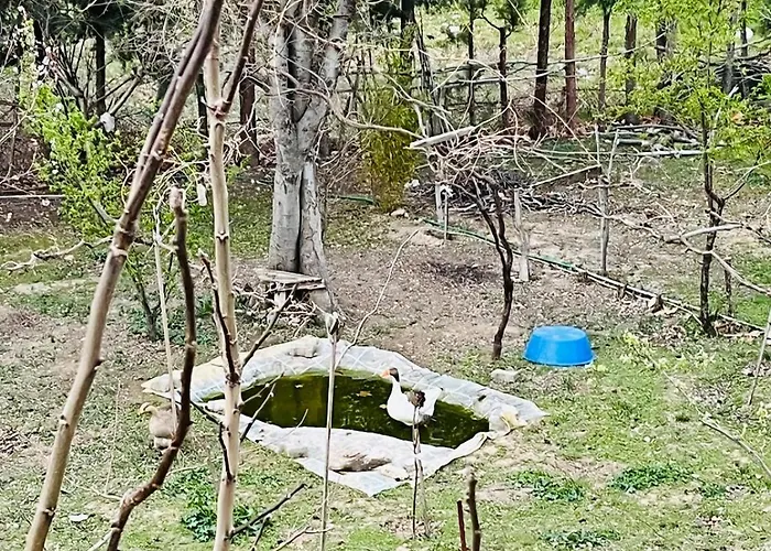 Plenty Of Amenities, Affordable Price Lejlighed *