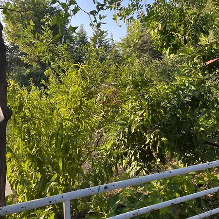 Plenty Of Amenities, Affordable Price Daire Denizli (Denizli)