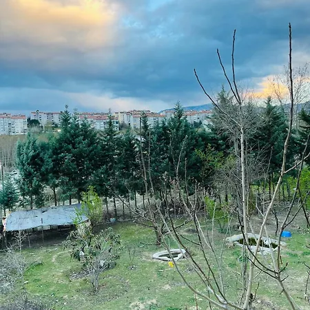 Plenty Of Amenities, Affordable Price