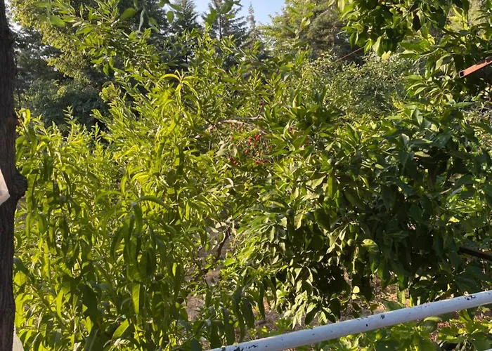 Plenty Of Amenities, Affordable Price Apartamento Denizli (Denizli)