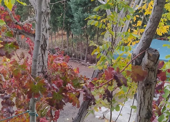 Plenty Of Amenities, Affordable Price Denizli (Denizli)